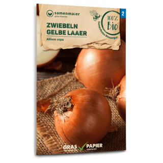 Zwiebel Gelbe Laaer - Allium cepa - BIOSAMEN