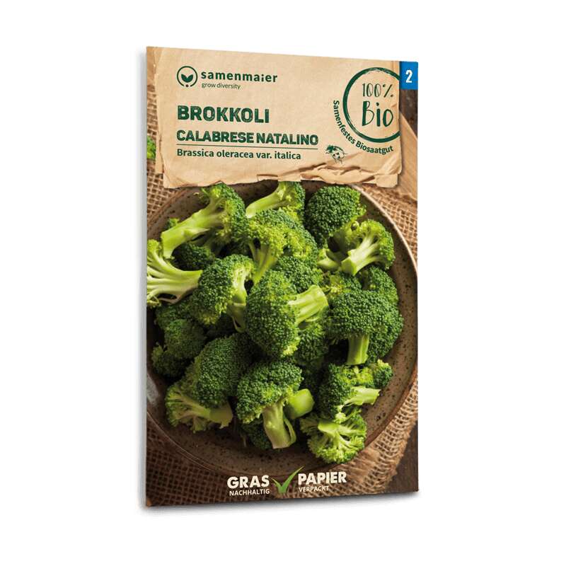 Brokkoli, Broccoli Calabrese natalino - Brassica oleracea var. italica - BIOSAMEN