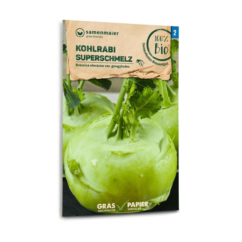 Kohlrabi Superschmelz - Brassica oleracea var. gongylodes - BIOSAMEN