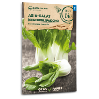 Asia-Salat, Senfkohl Pak Choi - Brassica rapa chinensis - BIOSAMEN