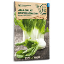 Asia-Salat, Senfkohl Pak Choi - Brassica rapa chinensis -...