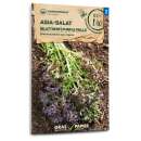 Asia-Salat, Blattsenf Purple Frills - Brassica juncea...