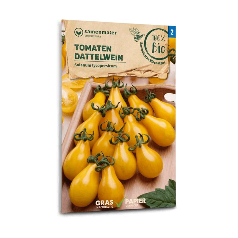 Tomate Dattelwein - Solanum Lycopersicum - BIOSAMEN