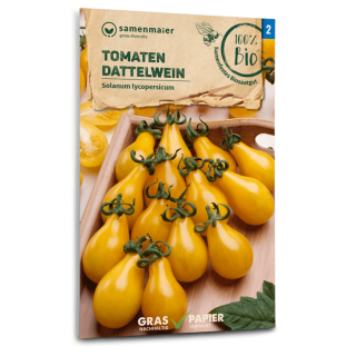 Tomate Dattelwein - Solanum Lycopersicum - BIOSAMEN