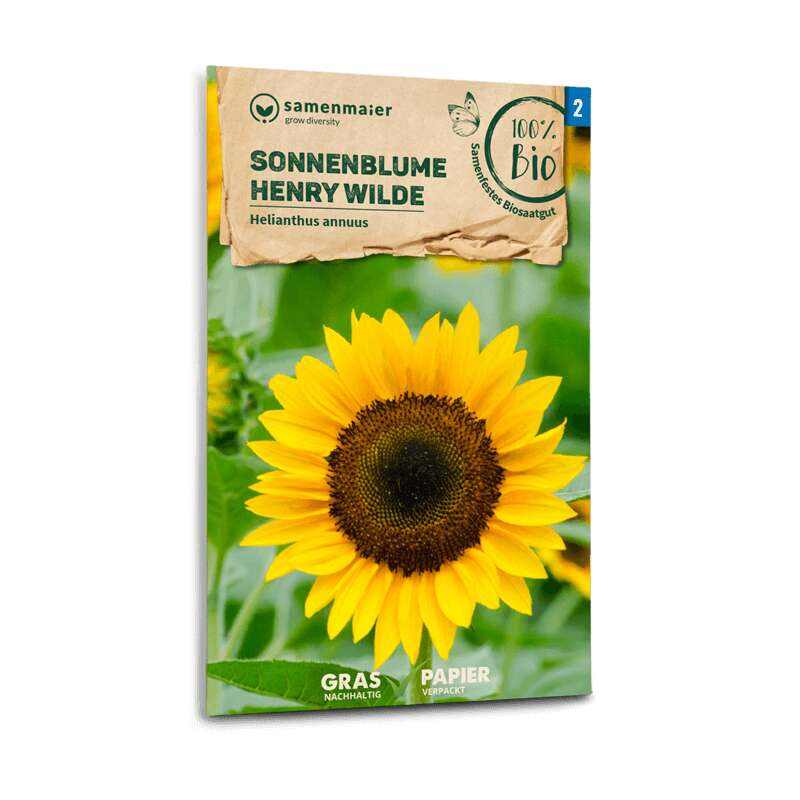 Sonnenblume Henry Wilde - Helianthus annuus - BIOSAMEN