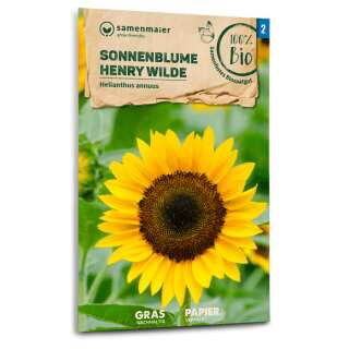 Sonnenblume Henry Wilde - Helianthus annuus - BIOSAMEN