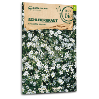 Schleierkraut, weiss - Gypsophila elegans - BIOSAMEN