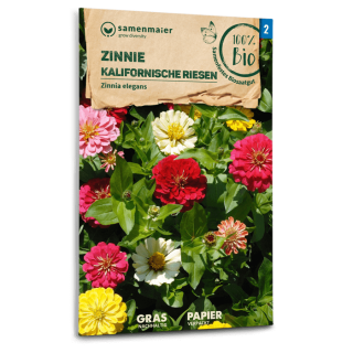 Zinnie Kalifornische Riesen - Zinnia elegans - BIOSAMEN