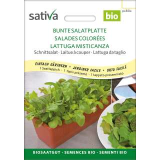 Pflücksalat BUNTE SALATPLATTE - Lactuca sativa -...