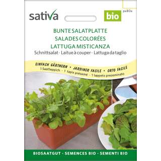 Pflücksalat BUNTE SALATPLATTE - Lactuca sativa - BIOSAMEN-Saatplatte