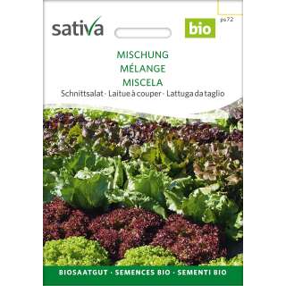 Schnittsalat Mélange - Lactuca sativa - BIOSAMEN