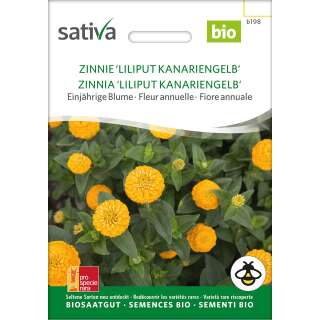 Zinnie Liliput Kanariengelb - Zinnia elegans - BIOSAMEN