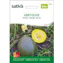 Kürbis Vert Olive- Cucurbita moschata -- BIOSAMEN