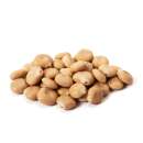 Lupin, lupin comestible - Lupinus albus - graines