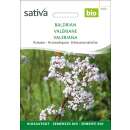 Baldrian - Valeriana officinalis  - Biosamen