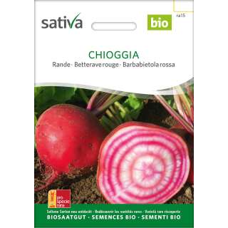 Rande, Rote Bete Chioggia - Beta vulgaris -- Demeter...