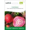 Rande, Rote Bete Chioggia - Beta vulgaris -- Demeter biologische Samen