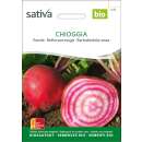 Rande, Rote Bete Chioggia - Beta vulgaris -- Demeter...