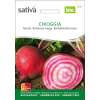 Rande, Rote Bete Chioggia - Beta vulgaris -- Demeter biologische Samen