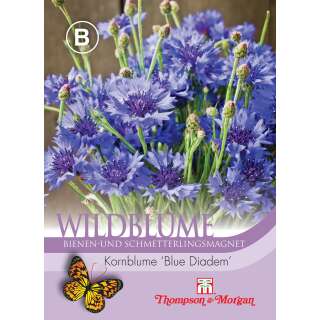 Kornblume, Wildblume Blue Diadem - Centaurea cyanoides -...