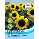 Sonnenblume Elite Sun F1 - Helianthus annuus - Samen