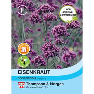 Eisenkraut - Verbena bonariensis - Samen