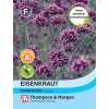 Eisenkraut - Verbena bonariensis - Samen