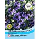 Nigella, Jungfer im Grünen Midnight - Nigella papillosa - Samen