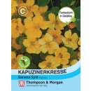 Kapuzinerkresse Banana Split - Tropaeolum majus - Samen