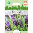 Lavendel Bandera Purple - Lavandula angustifolia - Samen