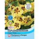 Kapuzinerkresse Cream Troika - Tropaeolum majus - Samen