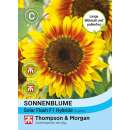 Sonnenblume Solar Flash F1 - Helianthus annuus - Samen