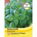 Basilikum Sweet Green - Ocimum basilicum - Samen