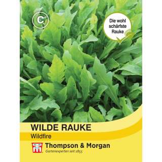 Rucola, Wilde Rauke Wildfire - Diplotaxis tenuifolia -...