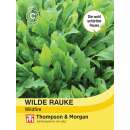 Rucola, Wilde Rauke Wildfire - Diplotaxis tenuifolia -...