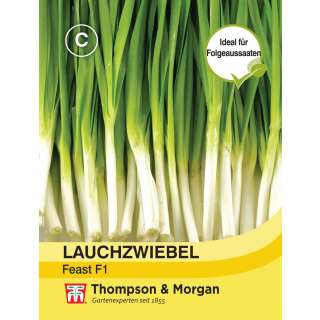 Lauchzwiebel Feast F1 - Allium cepa - Samen