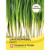 Lauchzwiebel Feast F1 - Allium cepa - Samen