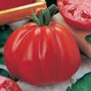 Tomate Cuore di Bue - Solanum Lycopersicum L. - Samen
