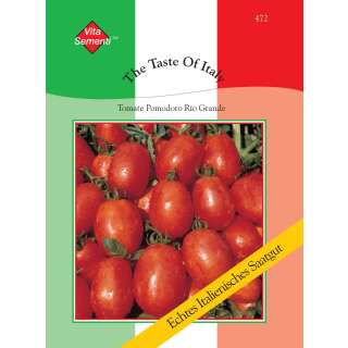 Tomate Rio Grande - Solanum Lycopersicum L. - Samen