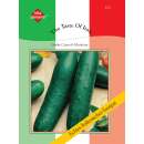 Gurke Centriolo Marketer - Cucumis sativus - Samen