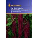 Amaranth, Fuchsschwanz - Amaranthus caudatus  - Samen