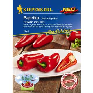 Paprika, Snack-Paprika Tribelli Mini Rot F1 - PROFILINE -...