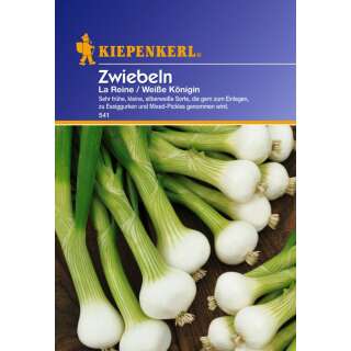 Zwiebel La Reine - Weisse Königin - Allium cepa - Samen