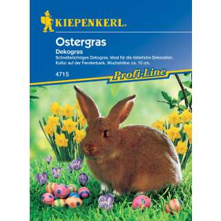 Ostergras, Dekogras - PROFILINE - Wiesenlieschgras Liglory - Knaulgras Lidacta