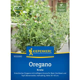 Oregano, Griechischer Kreta - PROFILINE - Origanum...