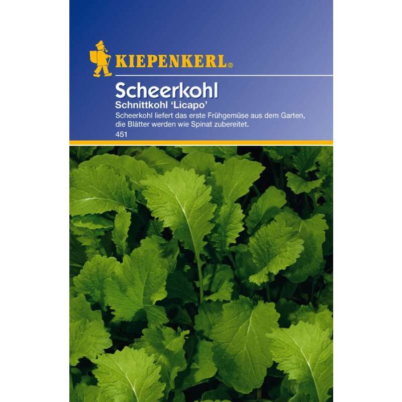 Schnittkohl, Scheerkohl Licapo - Brassica napus var. pabularia - Samen