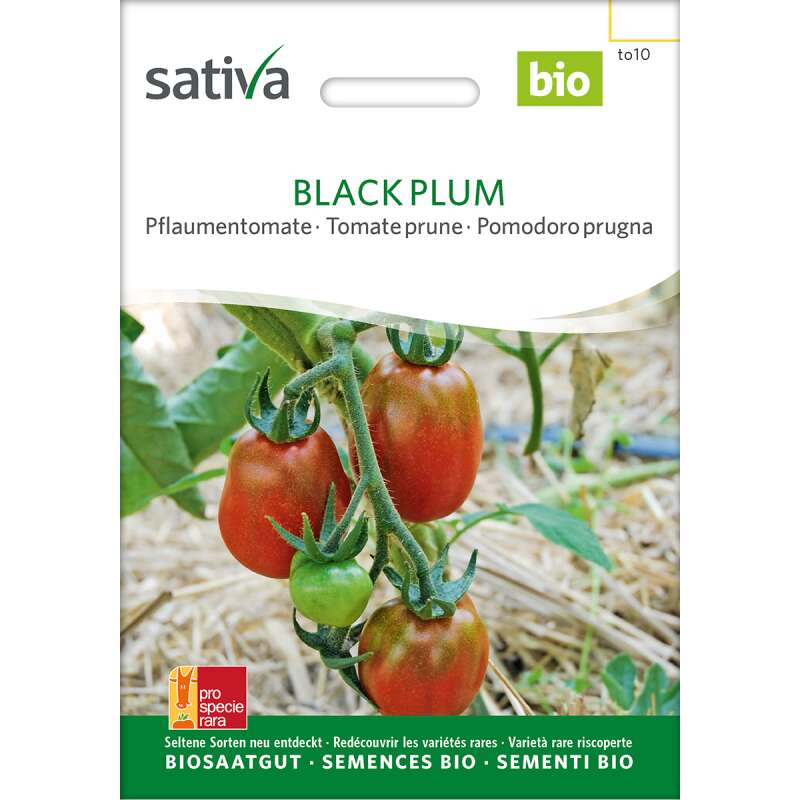 Tomate Black Plum - Lycopersicon esculentum -biologische Samen