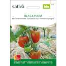 Tomate Black Plum - Lycopersicon esculentum -biologische...