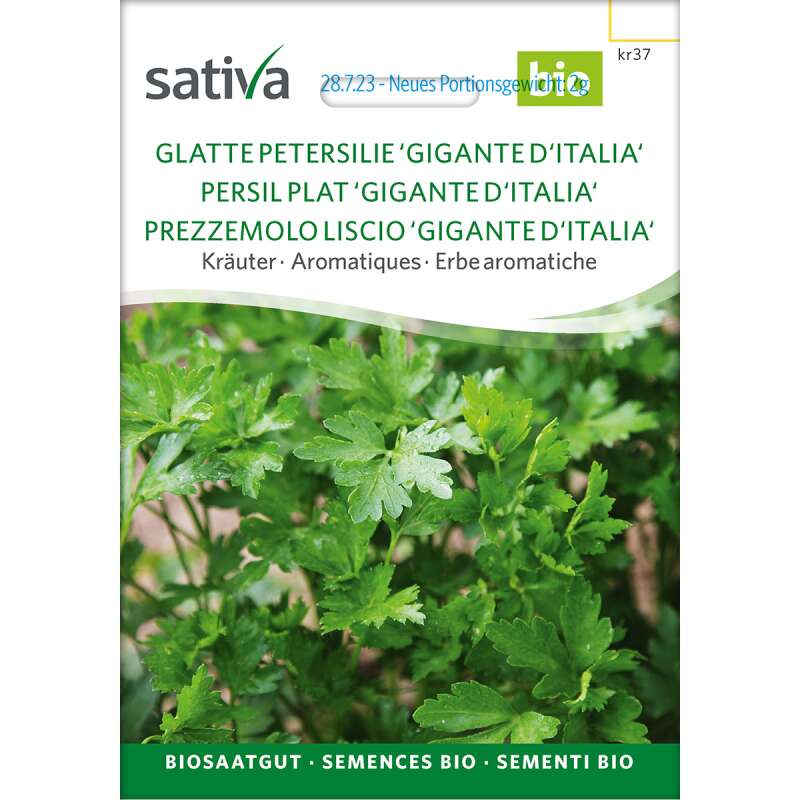 Petersilie, glatt Gigante dItalia - Petroselinum crispum - Demeter Biologische Samen