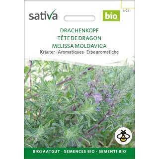 Drachenkopf - Dracocephalum moldavica - Demeter Biologische Samen